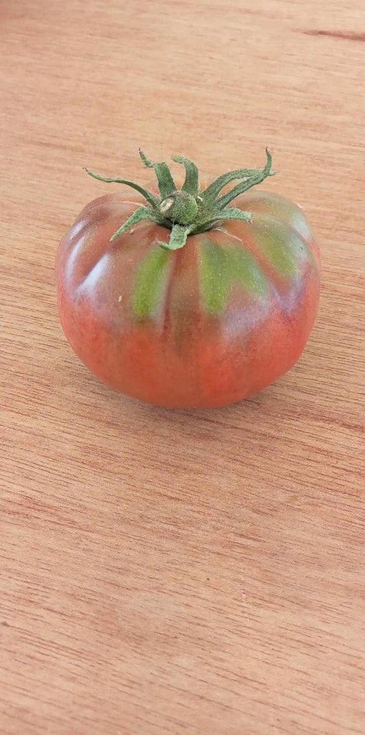 Tomate Carbon