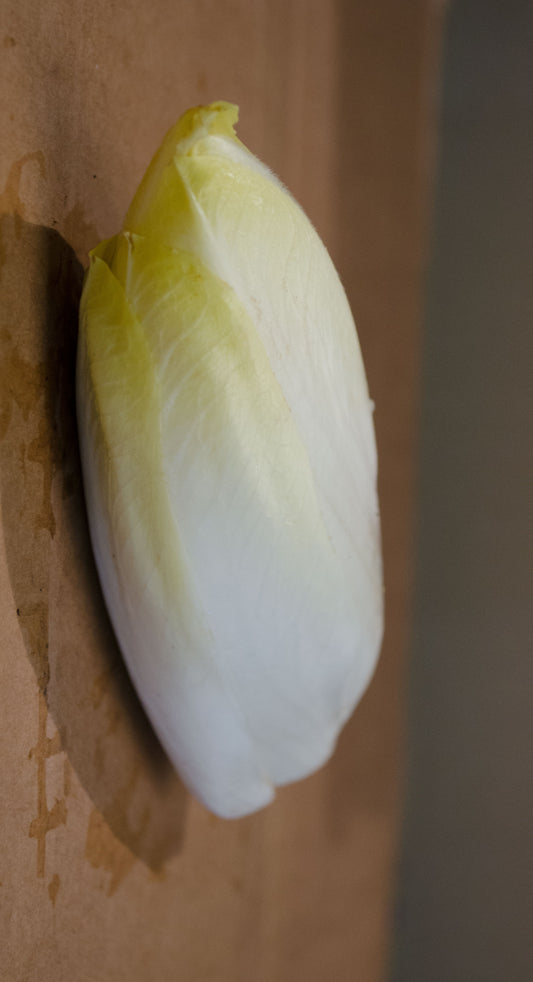 Chicorée Witloof (Endive)