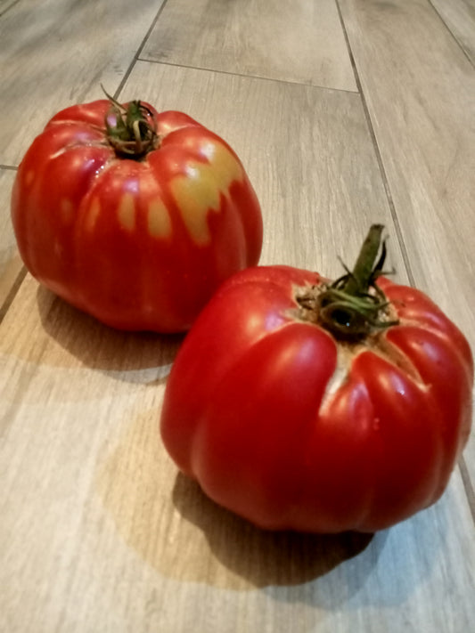 Tomate Grosse des marais