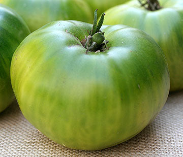 Tomate Green giant